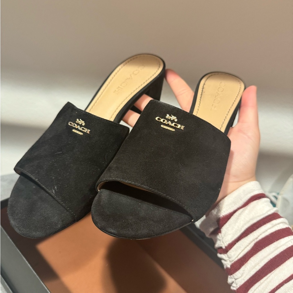 Coach Mule Sandals
